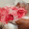 African Net Sponge Sapo Dark Pink