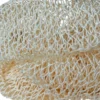 African Net Sponge Sapo Ivory