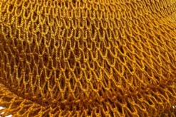 African Net Sponge Sapo Mustard