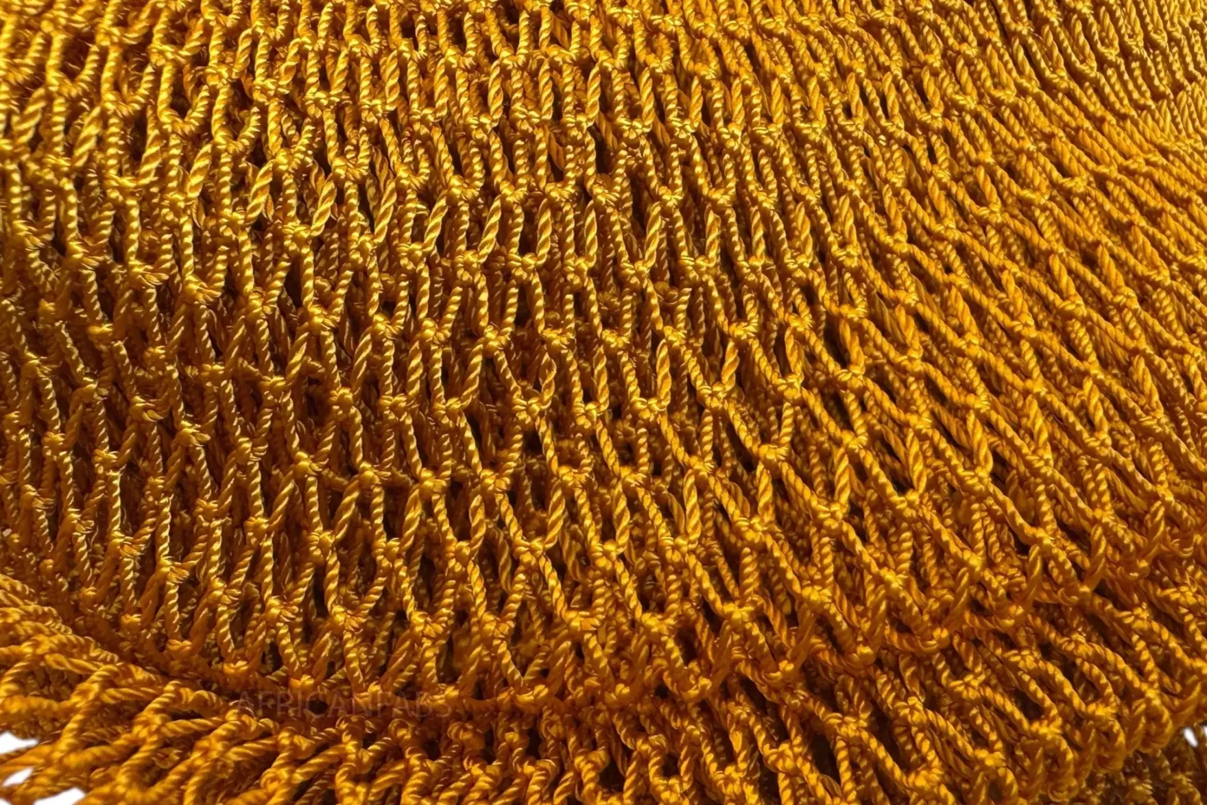 African Net Sponge Sapo Mustard