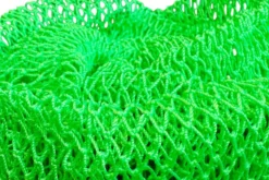 African Net Sponge Sapo Neon Green