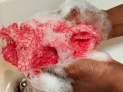 African Net Sponge Sapo White