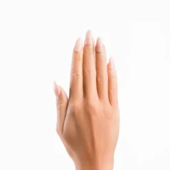 Almond Glossy French Nails