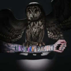 Artistry Palette Night Owl