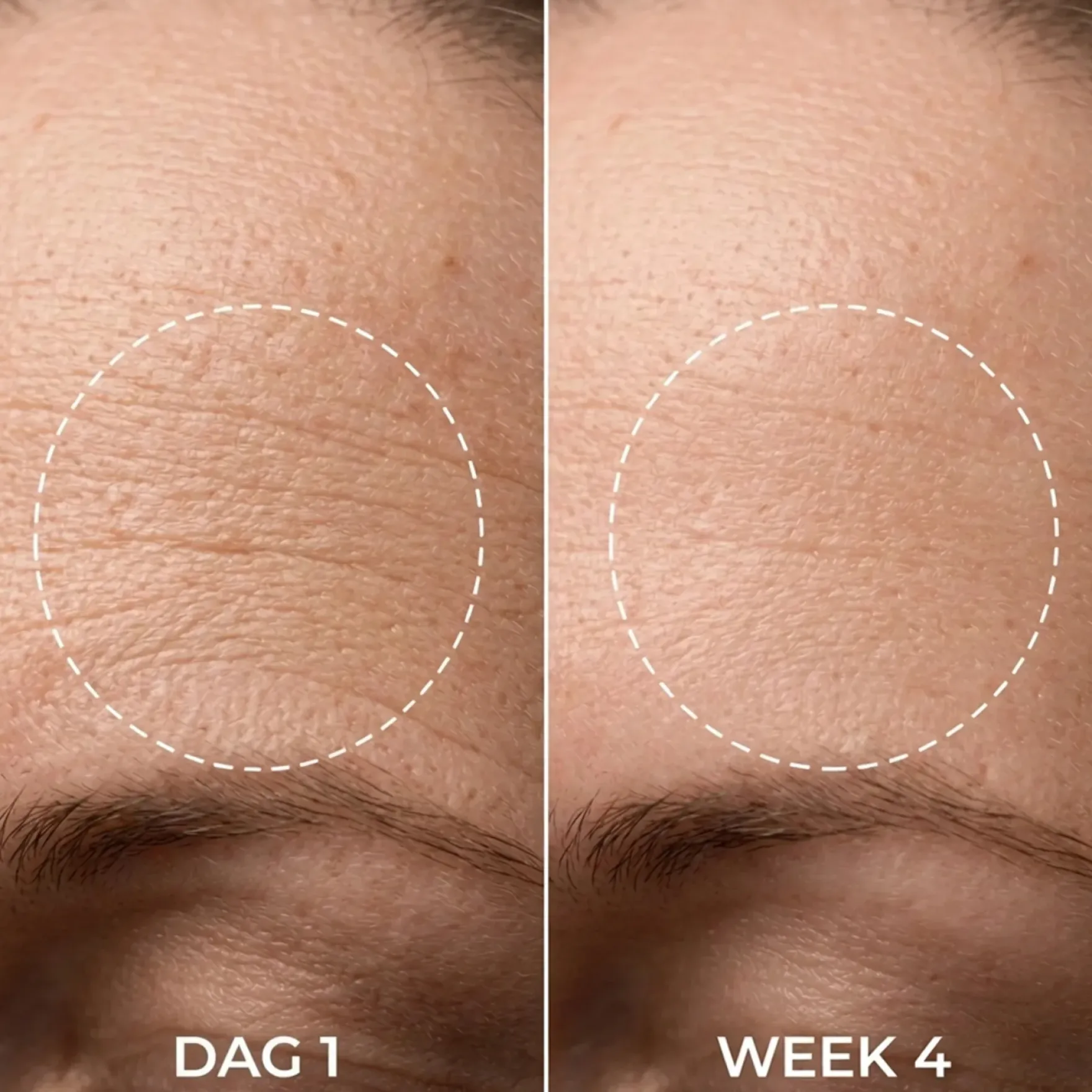 Barrier Restore Night Cream