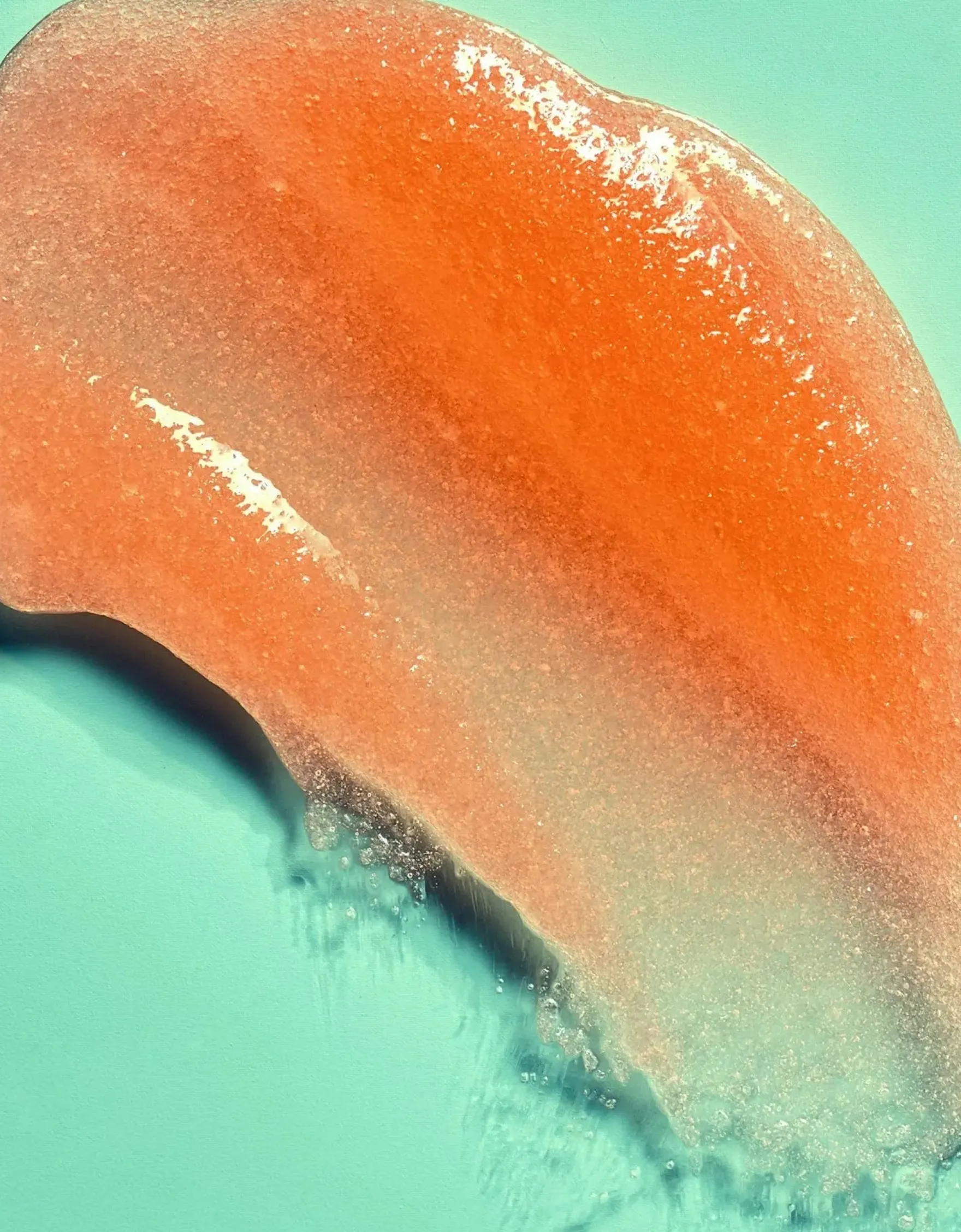 Bikini Reef Shea Sugar Scrub