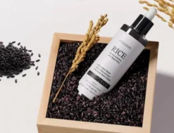 Black Rice Peeling Ampoule