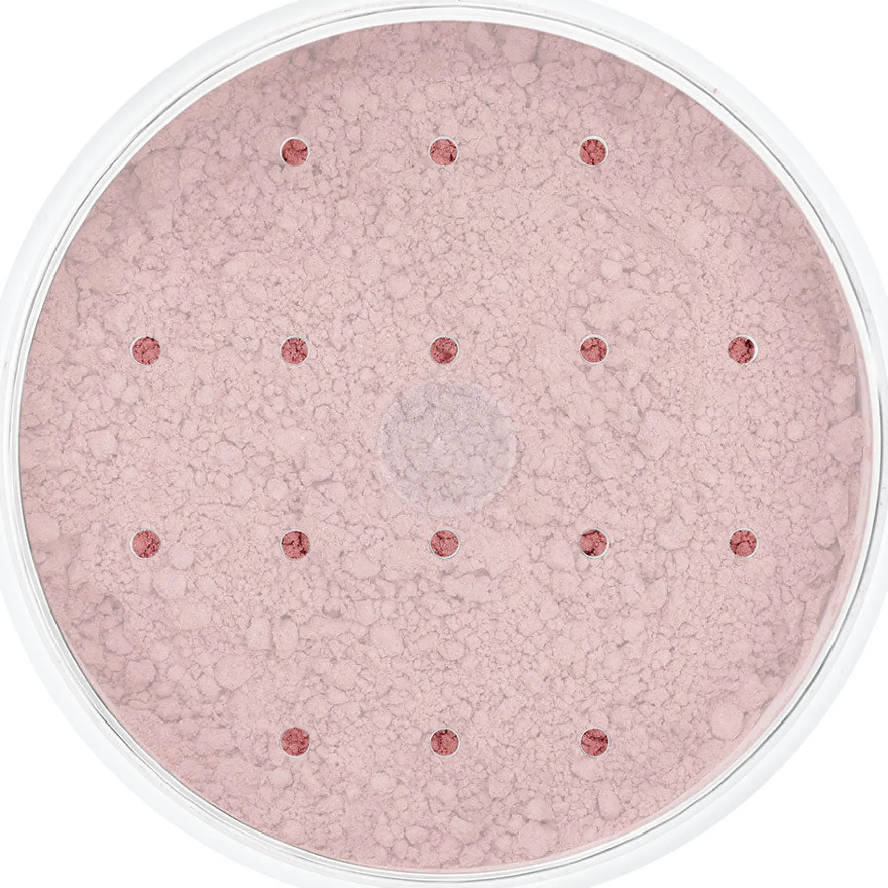 Blood Powder Dark 10 Gr.