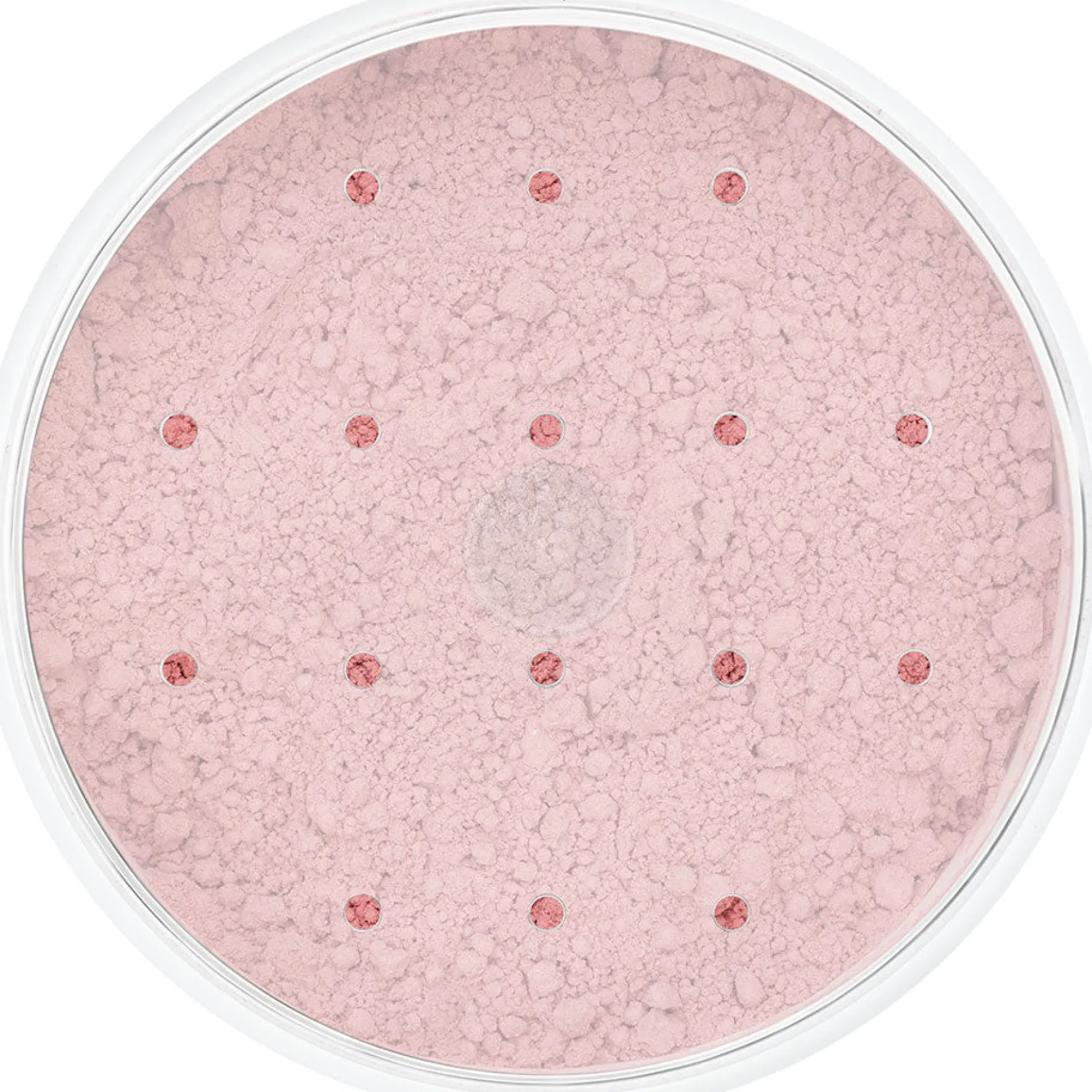 Blood Powder Light 10 Gr.
