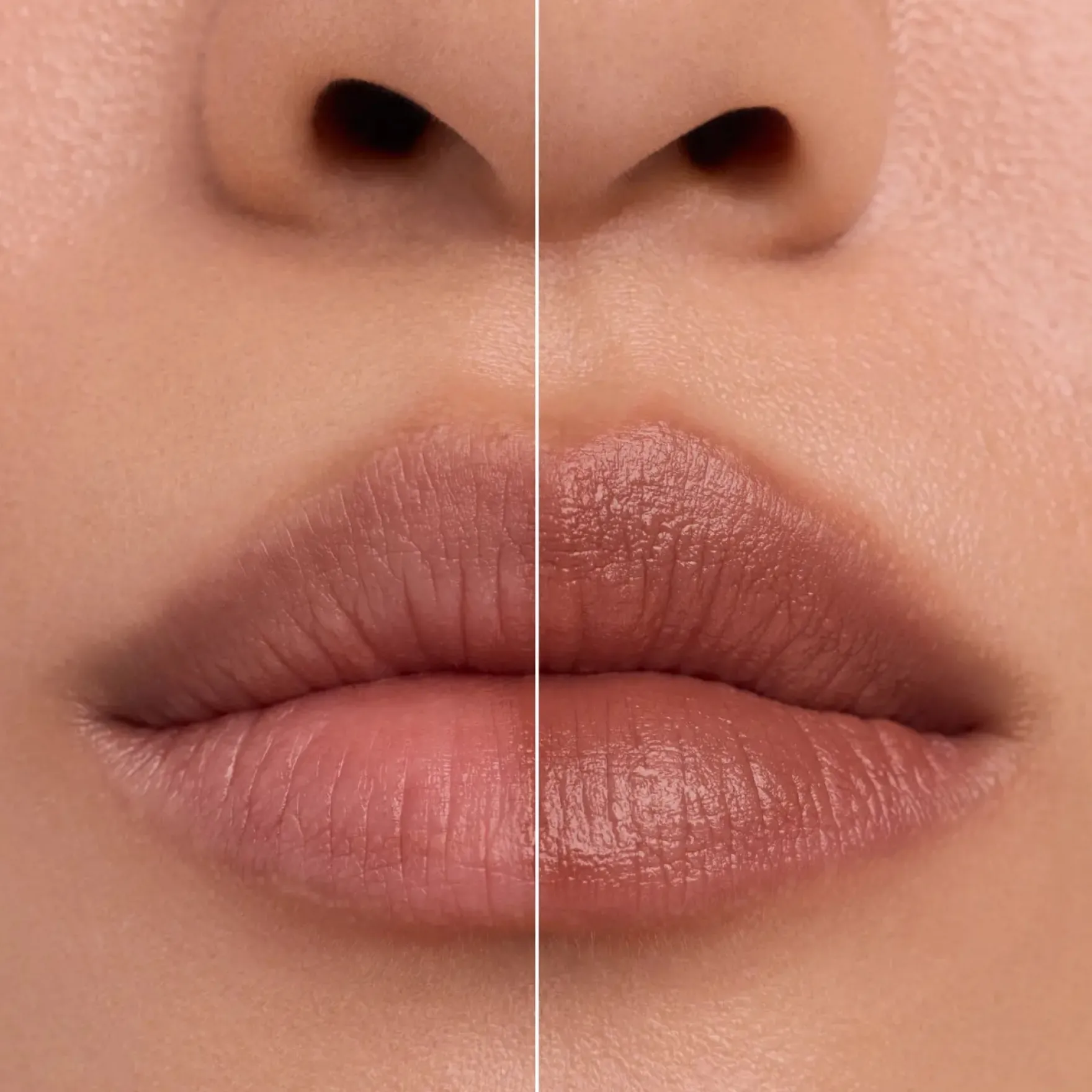 Blur Real Lip Powder Cream 010 Teddy Hug