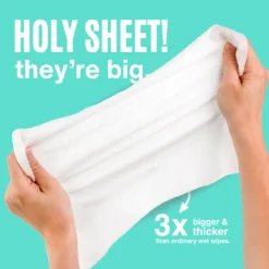 Body Wipes 15 Pack