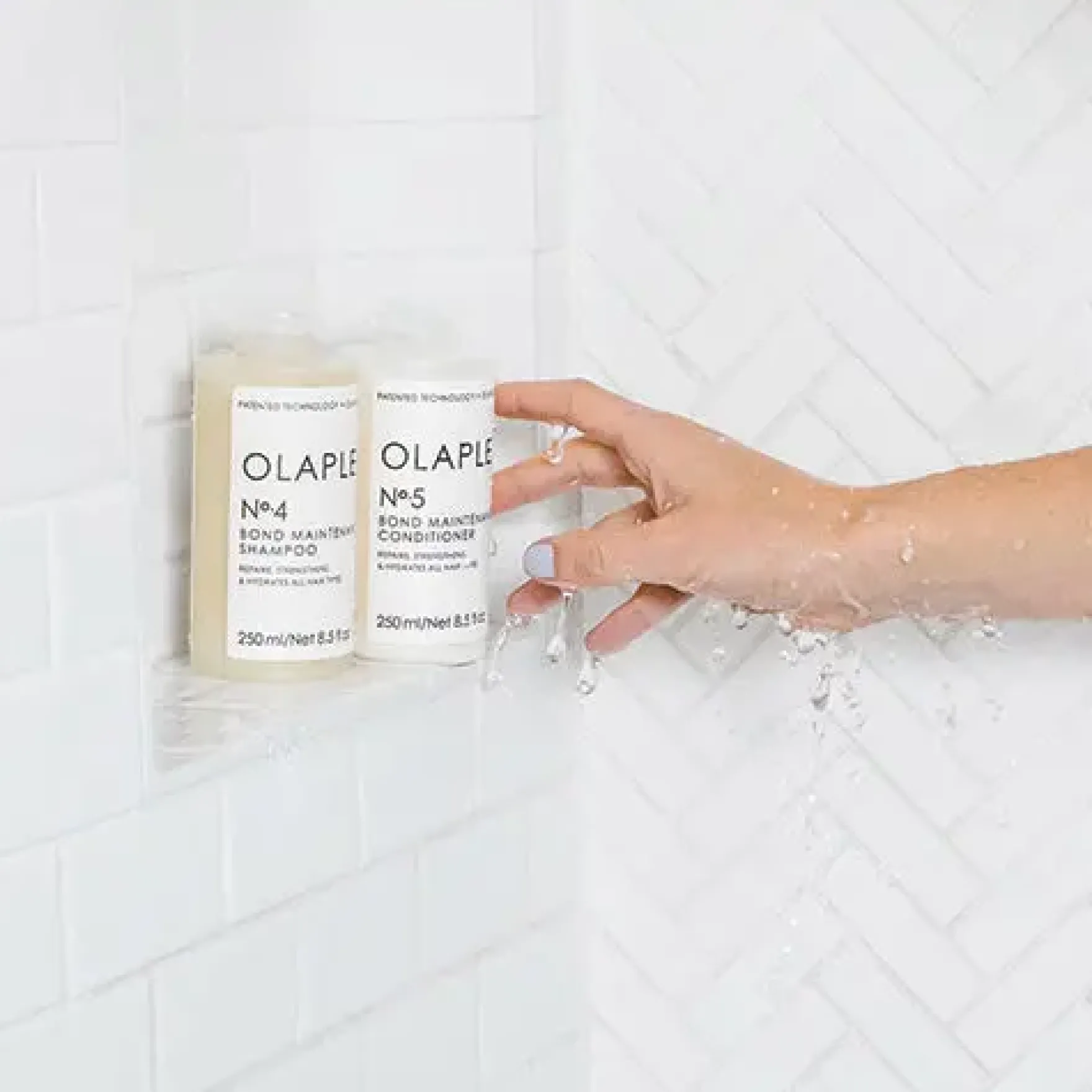 Bond Maintenance Shampoo No. 4