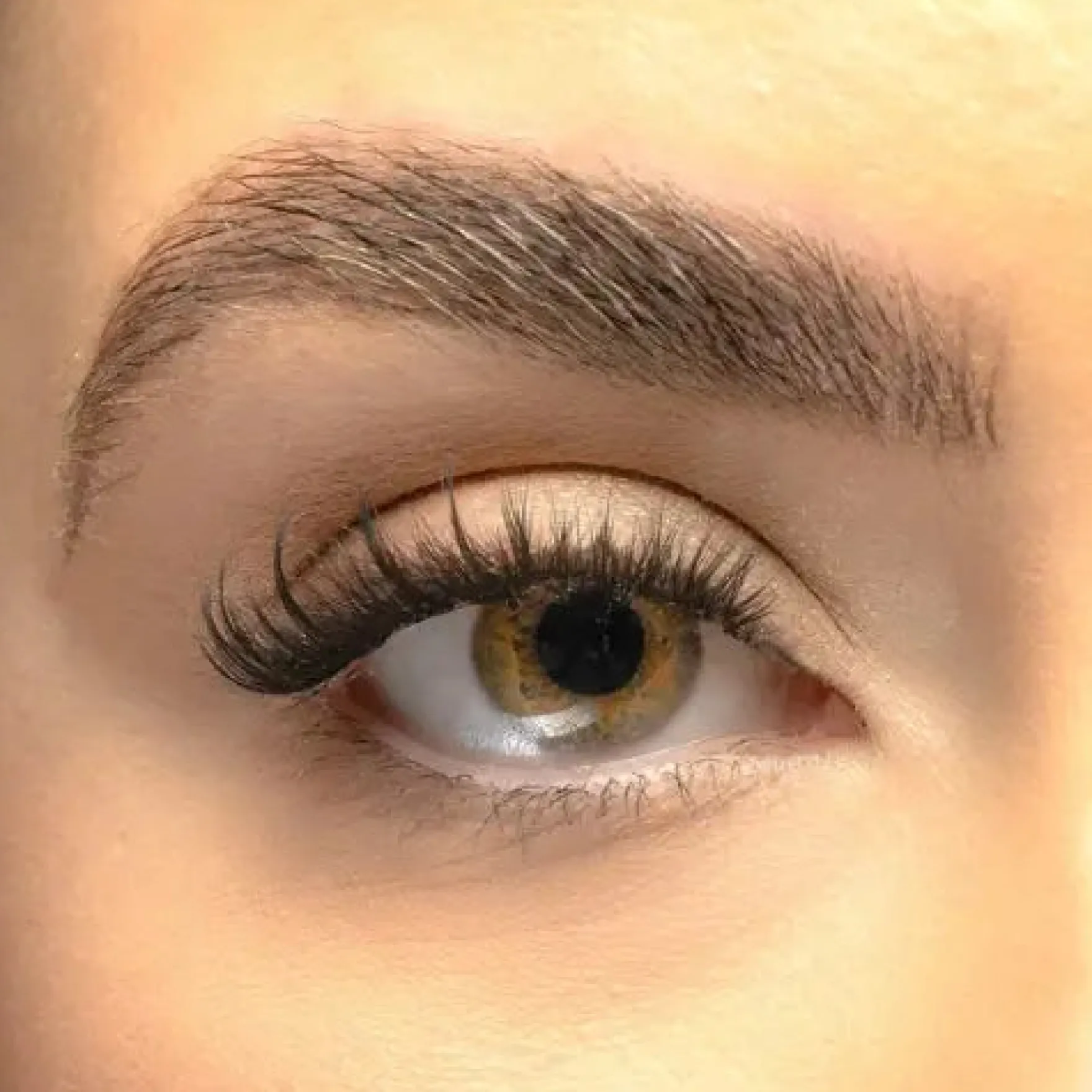 Cat-eye Hybrid Pre Mapped DIY Lashes