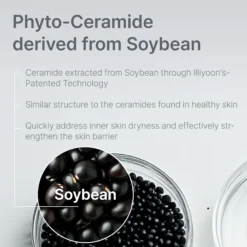 Ceramide Ato Concentrate Cream