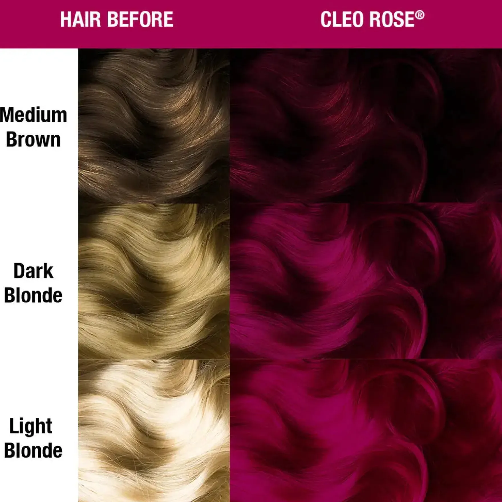 Cleo Rose Hair Color