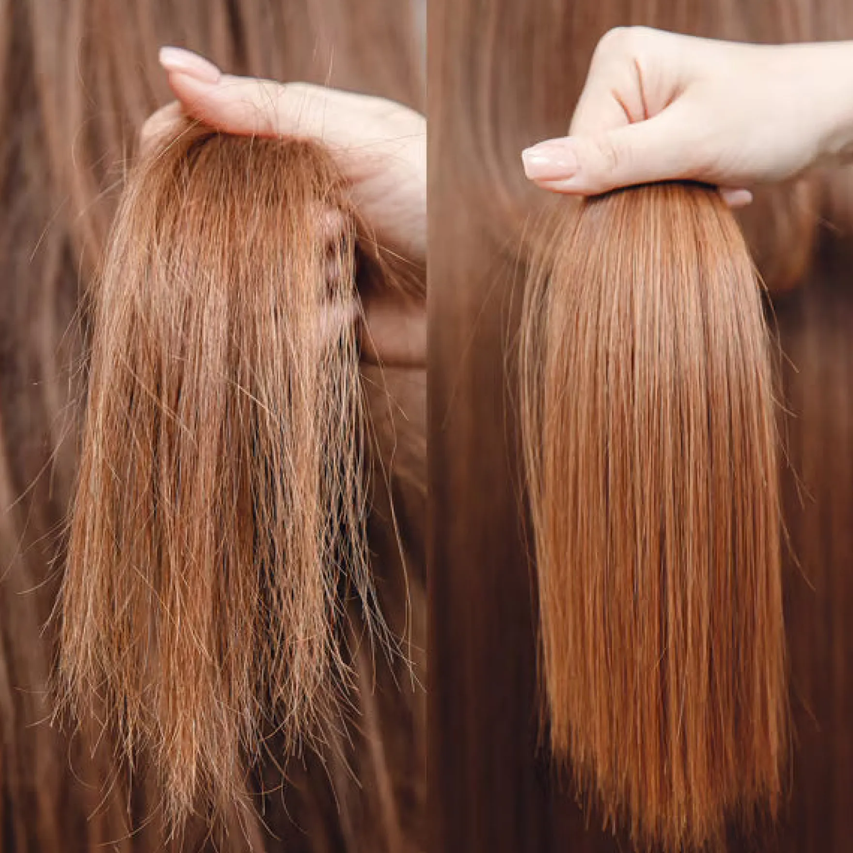 Coconut Bomb Hair Oil