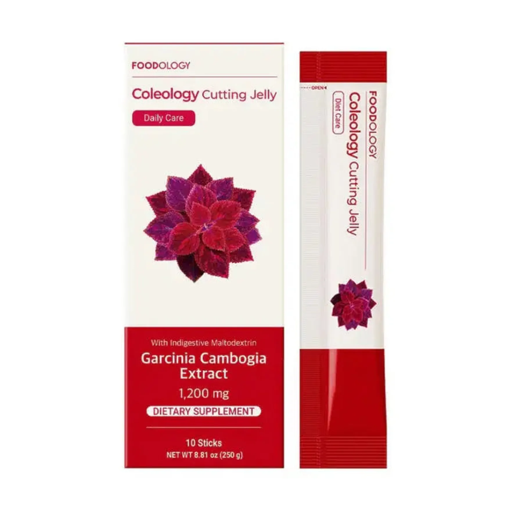 Coleology Cutting Jelly