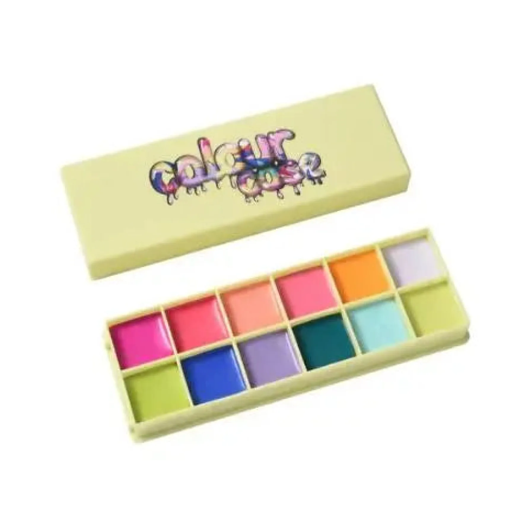Color Case Cosmetic Paint Palette & Brush Set The Electrics