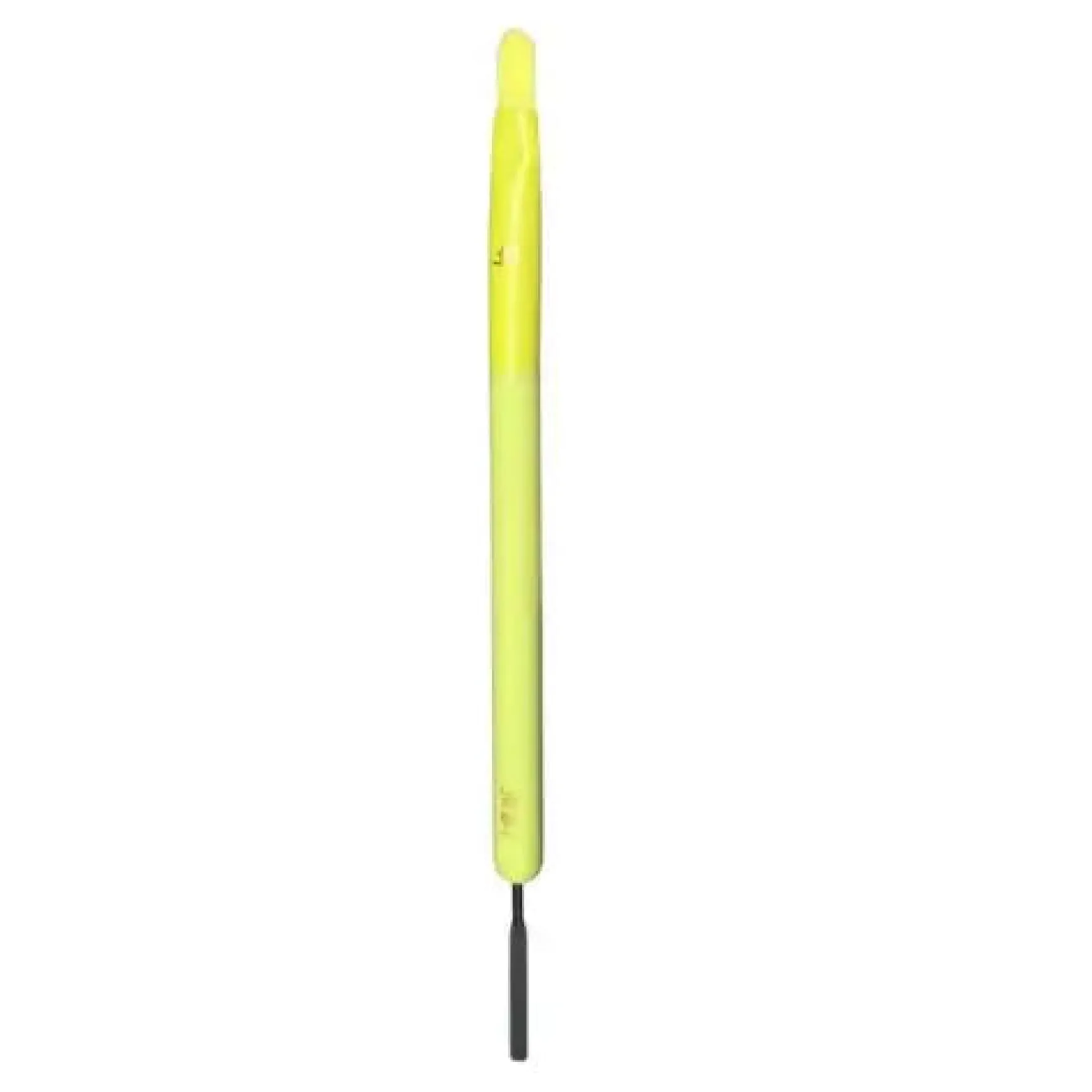 Color Case Cosmetic Paint Palette & Brush Set The Electrics