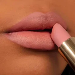 Color Fetish Lipstick Matte 430 Secret