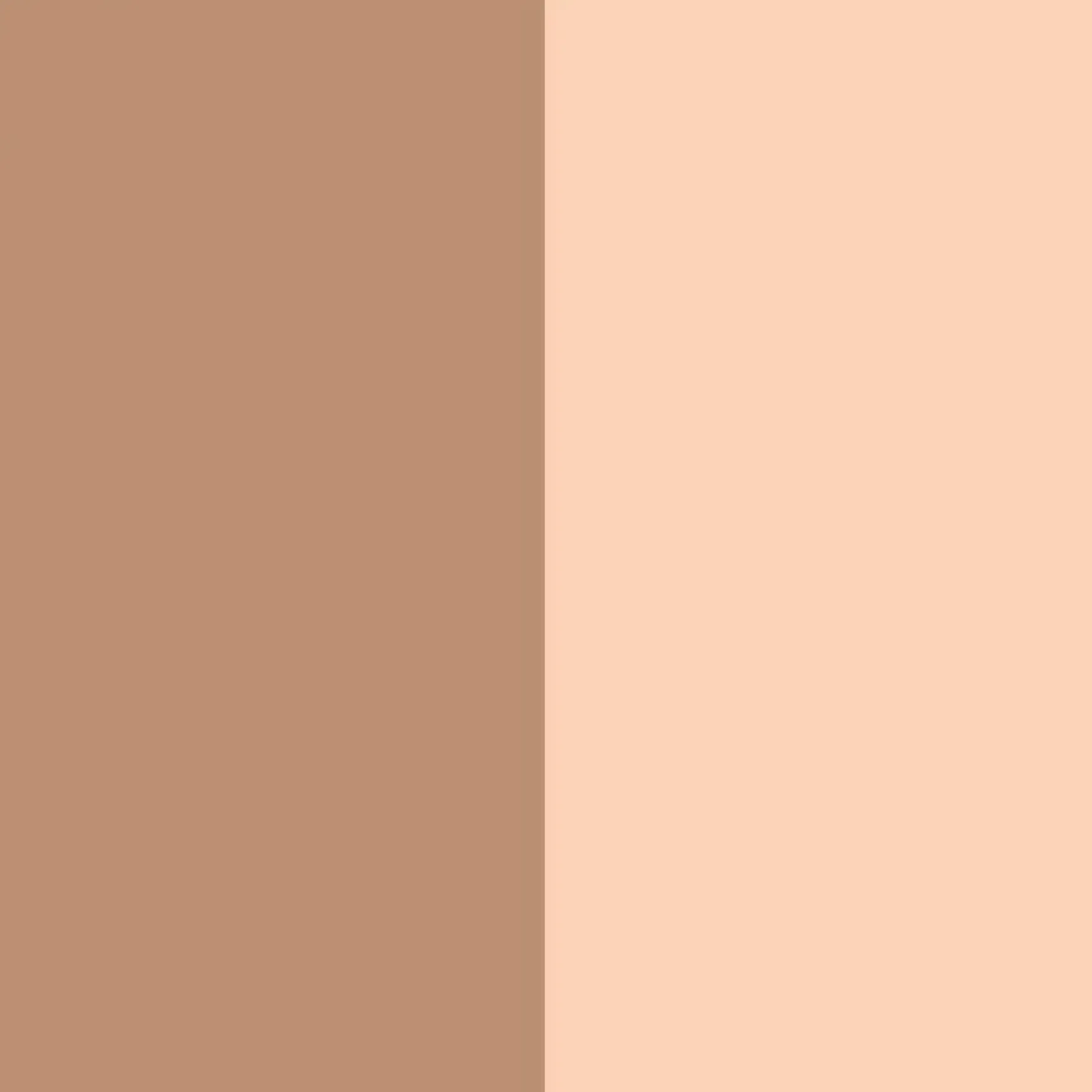 Contouring Duo Stick 10 Fair