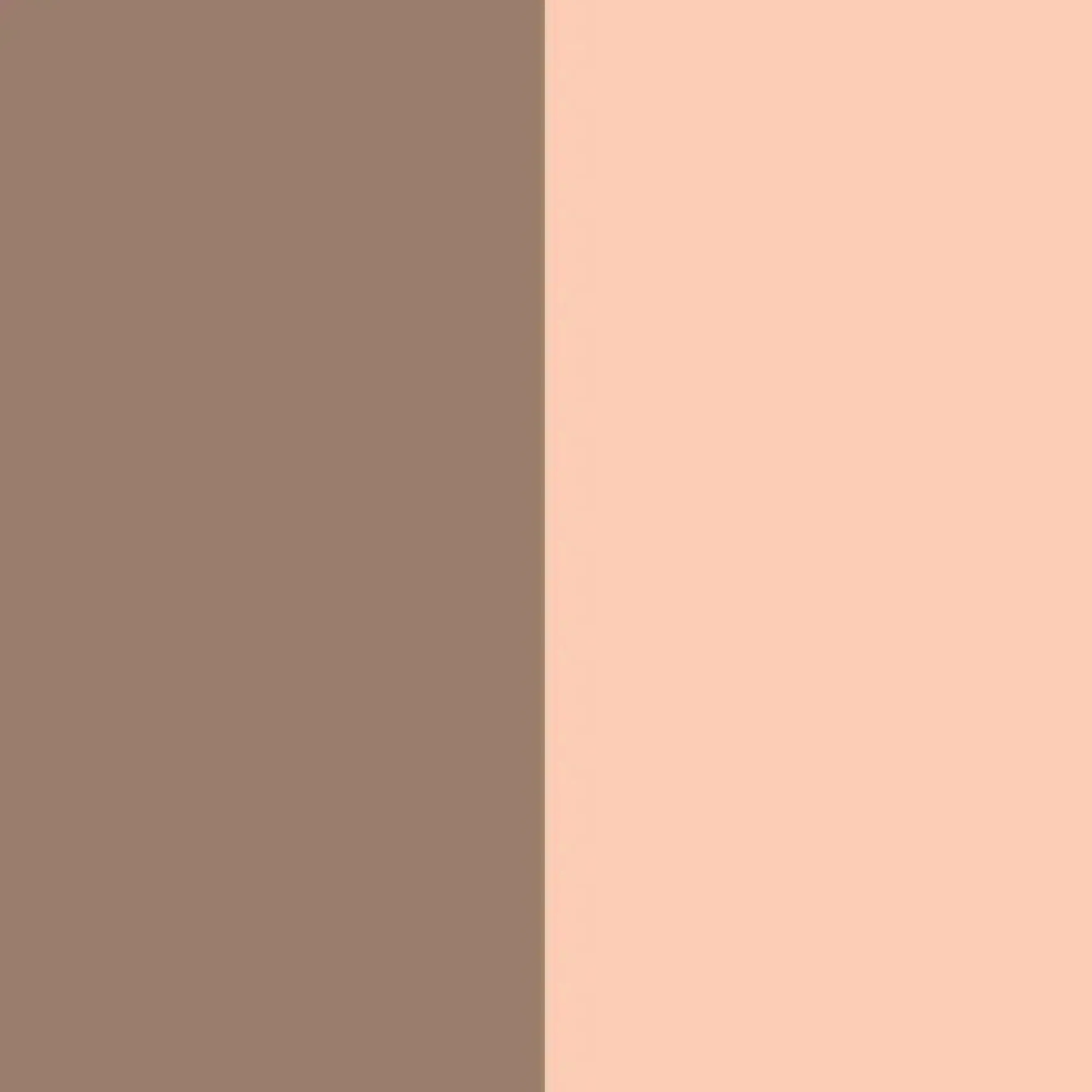 Contouring Duo Stick 20 Light