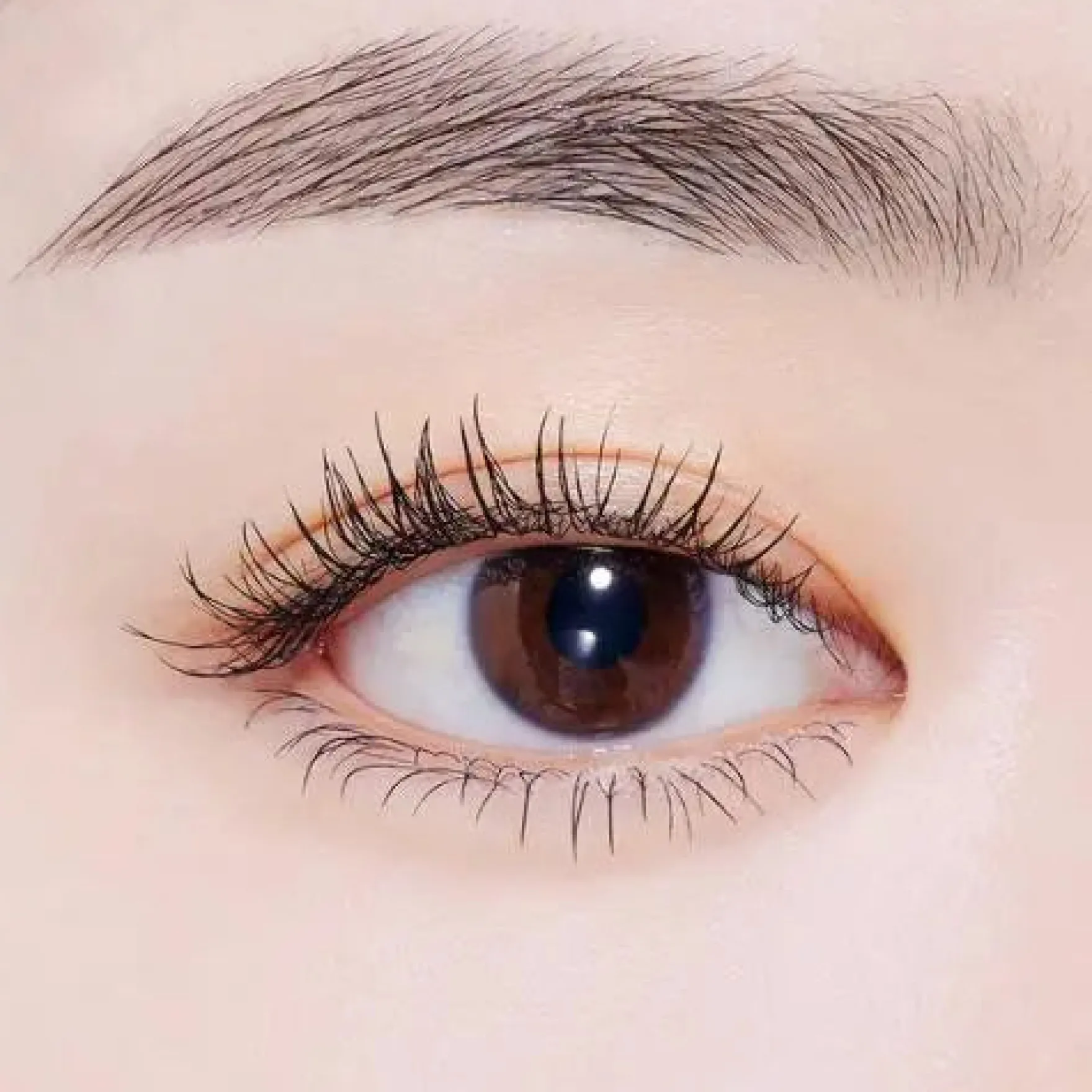 Curl Fix Mascara Black