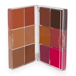 Everything Base Face Icon Complexion Palette Dark