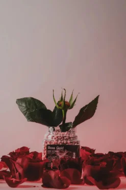 Hard Wax Beans Rose Gold Small