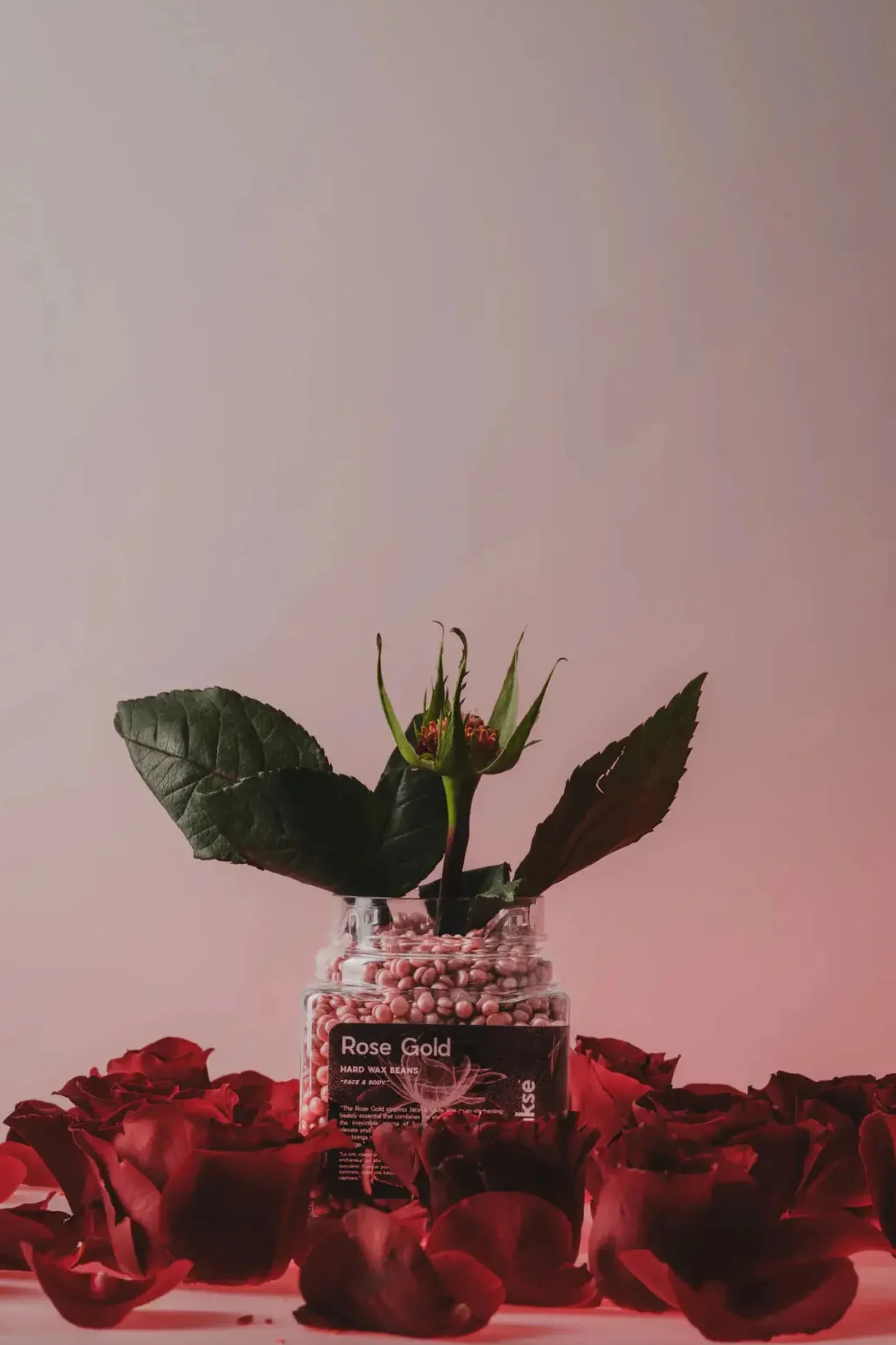 Hard Wax Beans Rose Gold Small