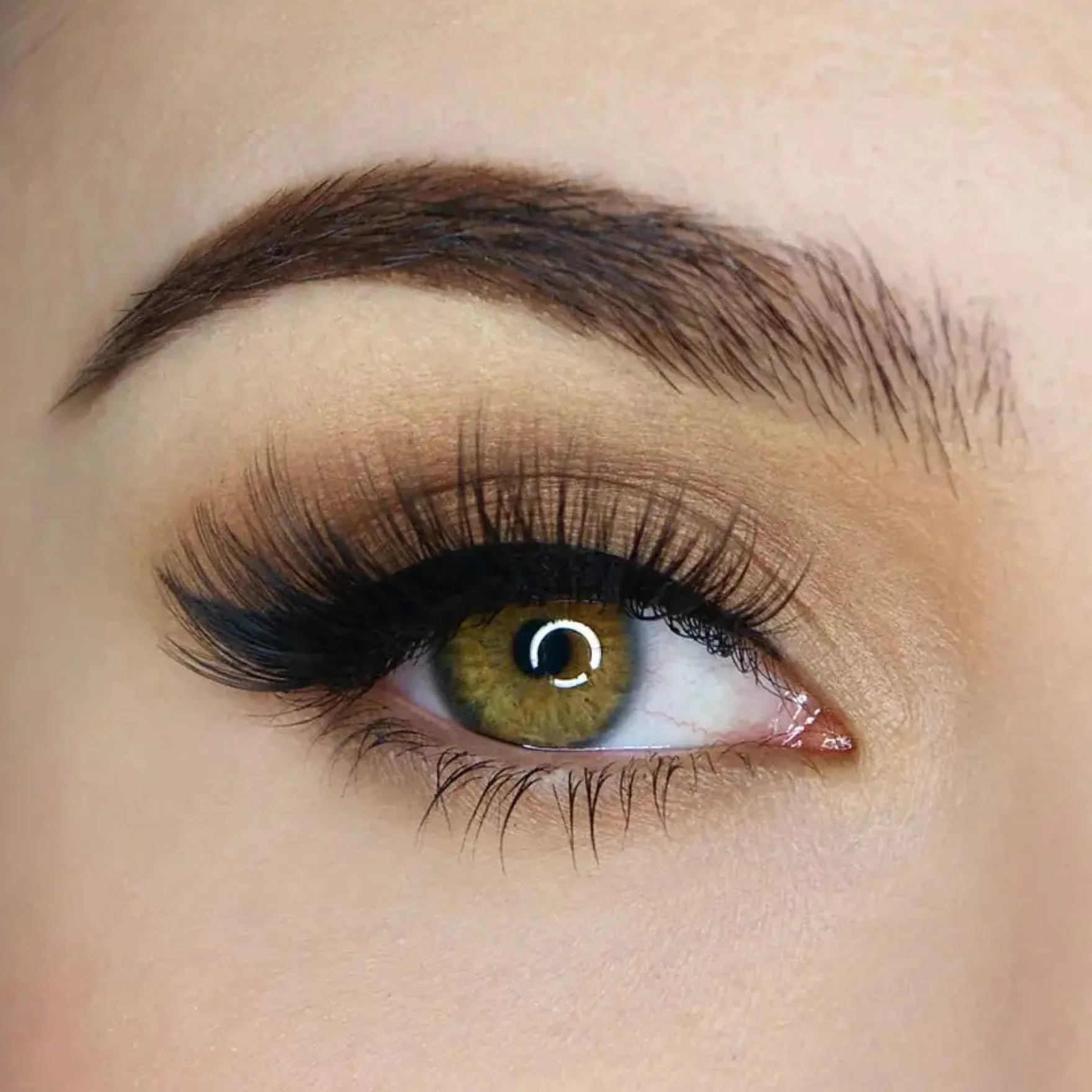 Hidden Agenda Lash Kit