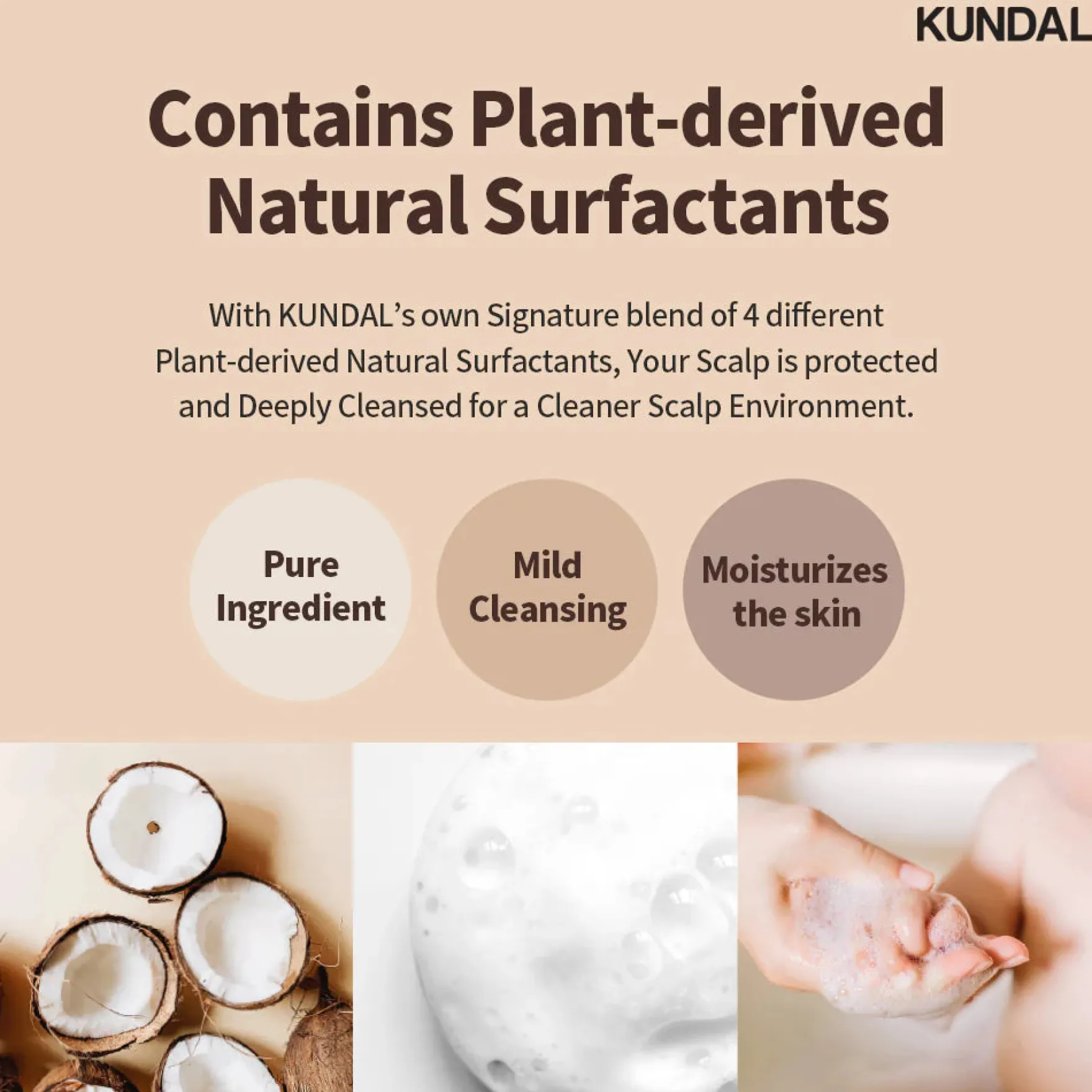 Honey & Macadamia Nature Shampoo English Rose