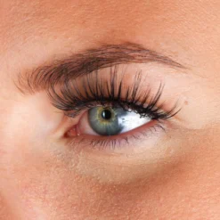 Lashes Lizzeth