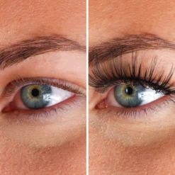 Lashes Lizzeth
