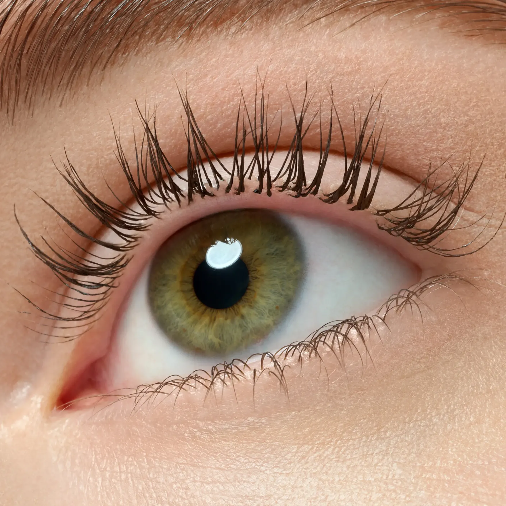Lash Princess False Lash Effect Mascara Black Brown