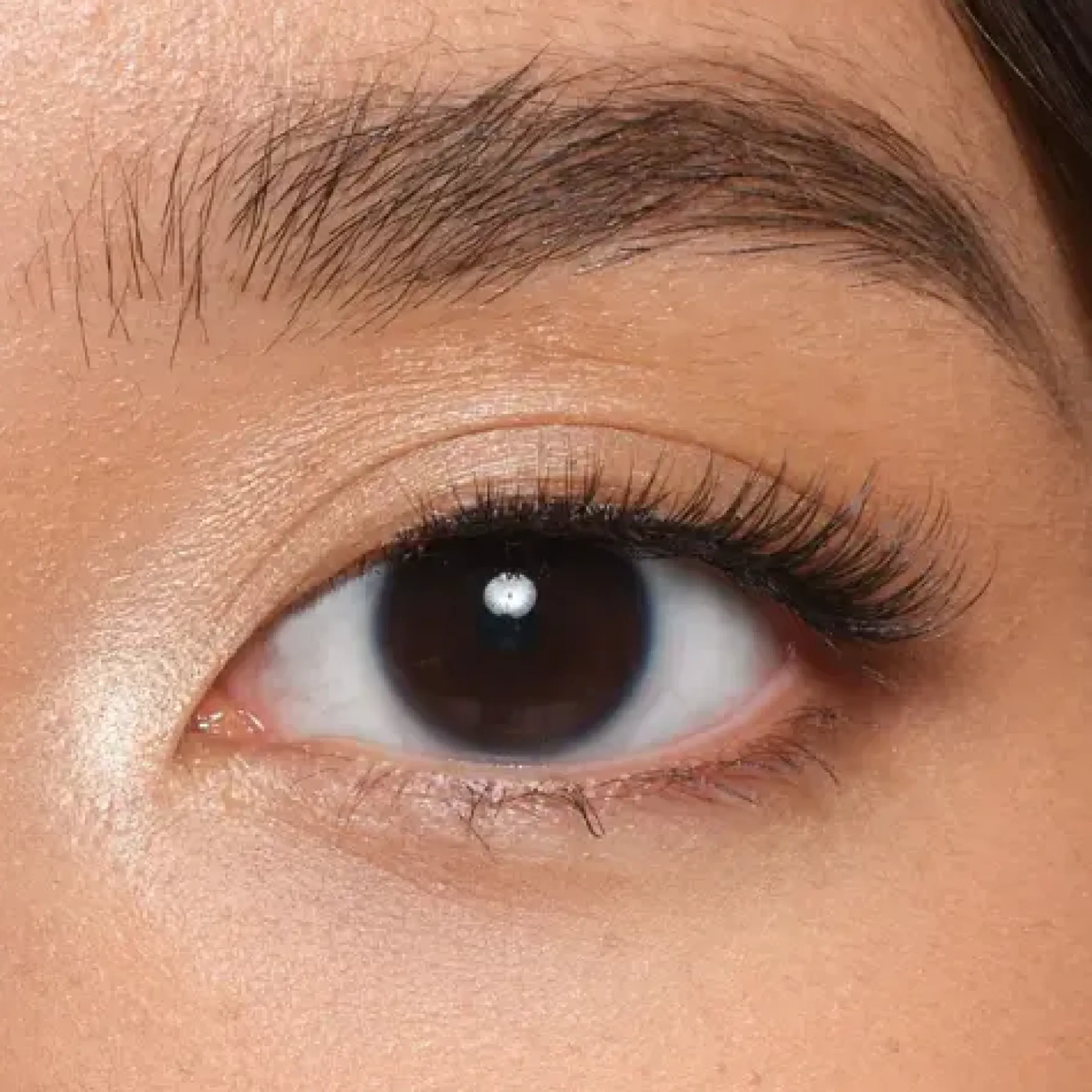 Latte Strip Lashes