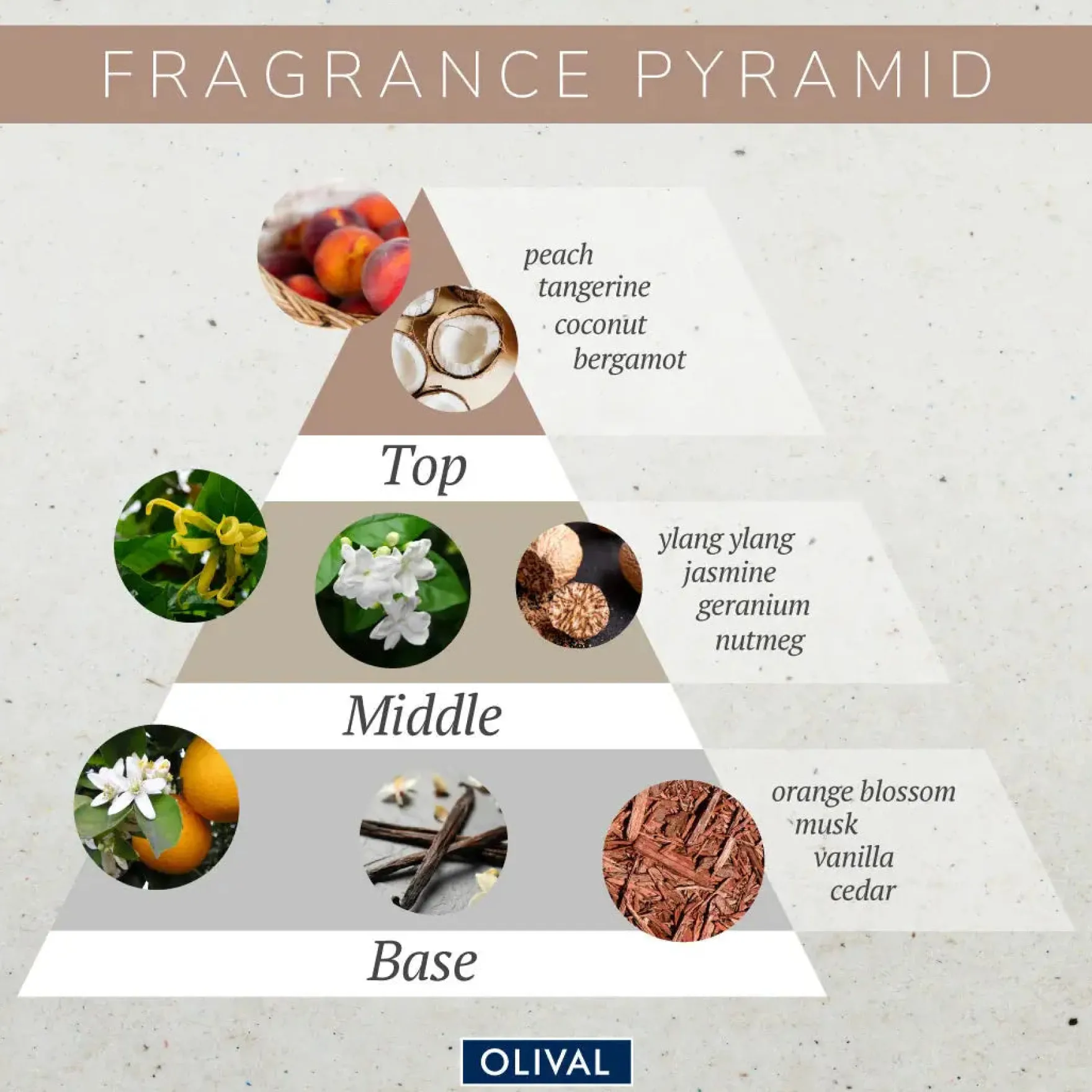 Magical Dry Oil