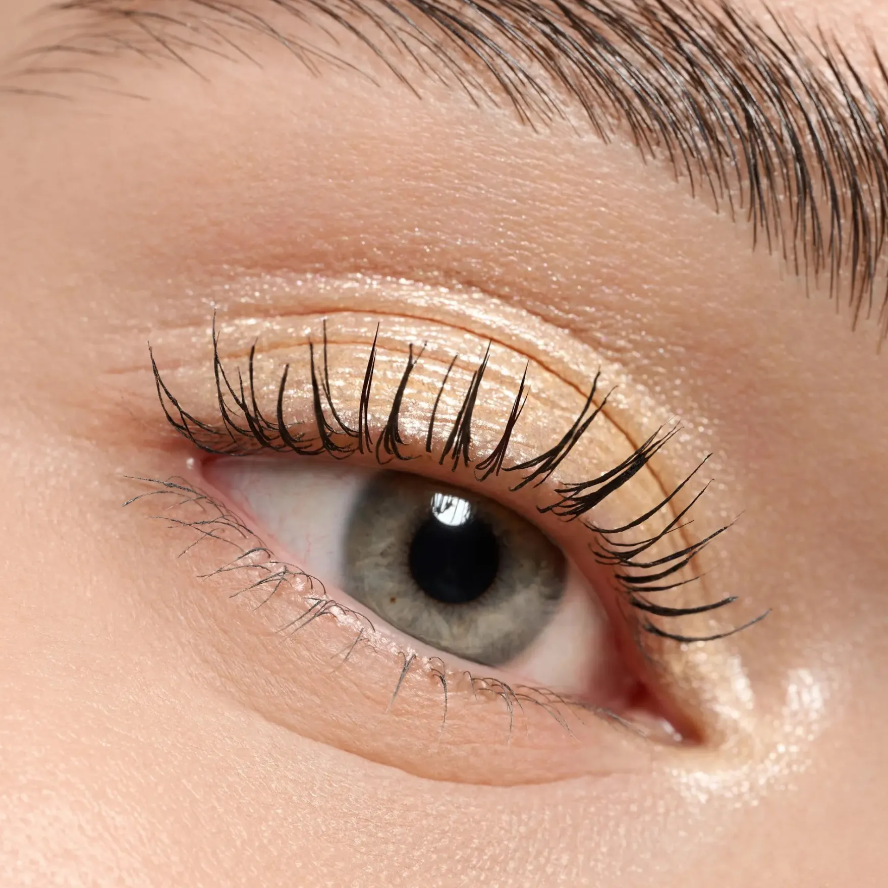 Mono Eyeshadow Pearly 01 Golden Glow