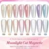Moonlight Cat Magnetic Gel MY104