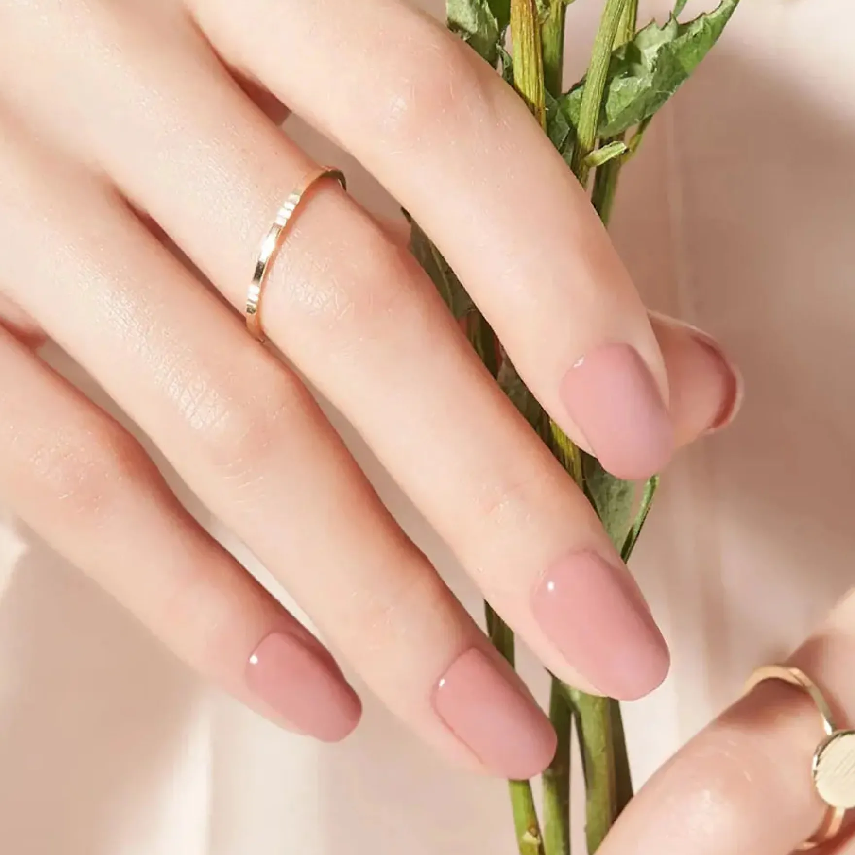 Nail Strips Ash Pink