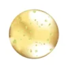 Nourishing Lip Oil Hunnybun
