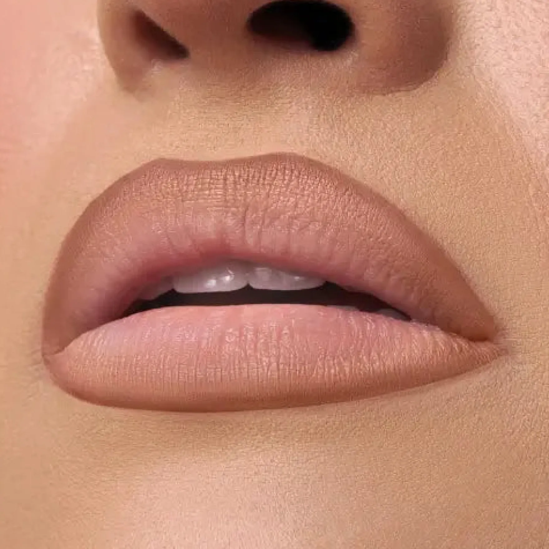 Nude X Lipliner Can't Handle