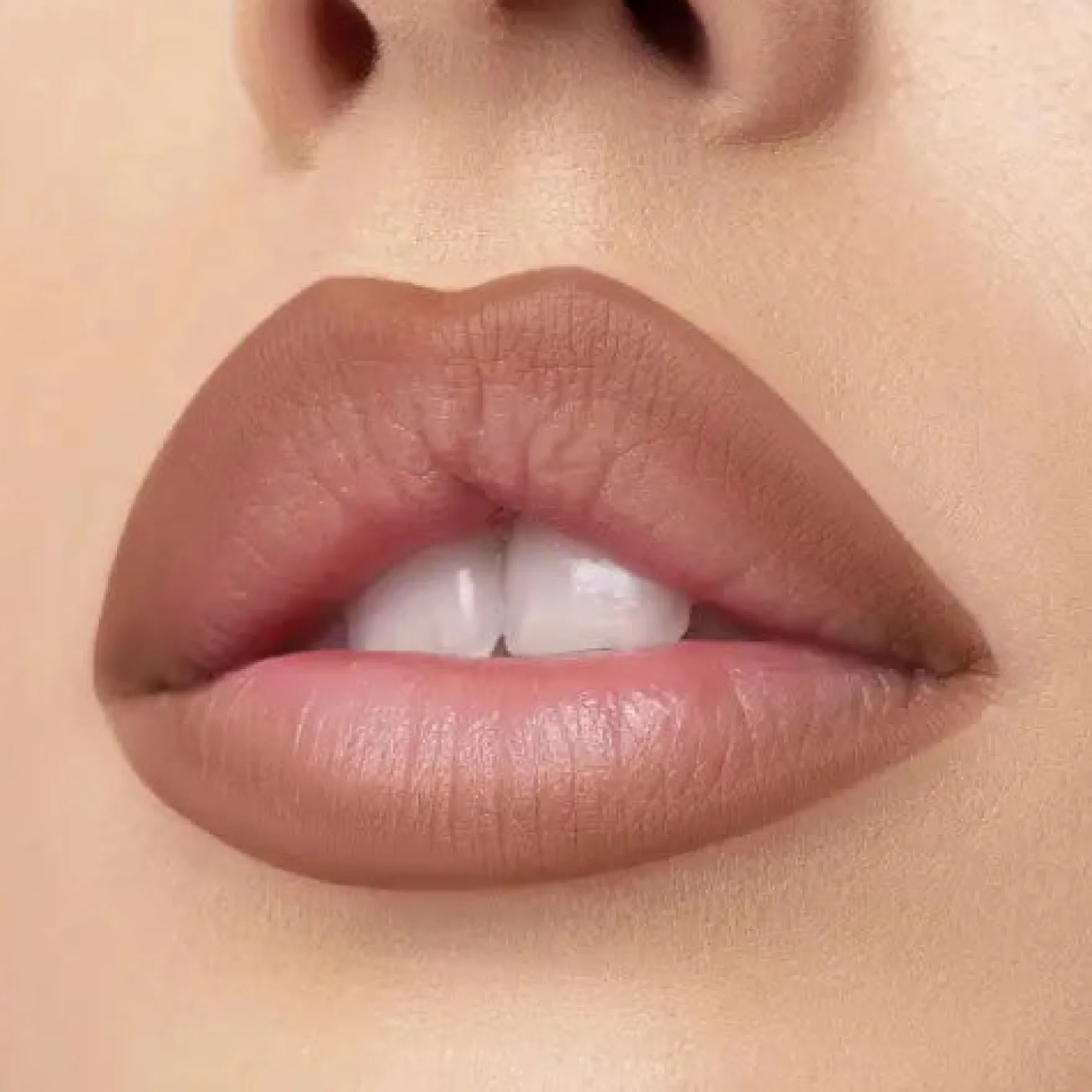 Nude X Lipliner Can't Handle