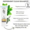 Peppermint Clean Shampoo 100 ml.