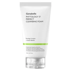 Phytology 17 Perfect Cleansing Foam