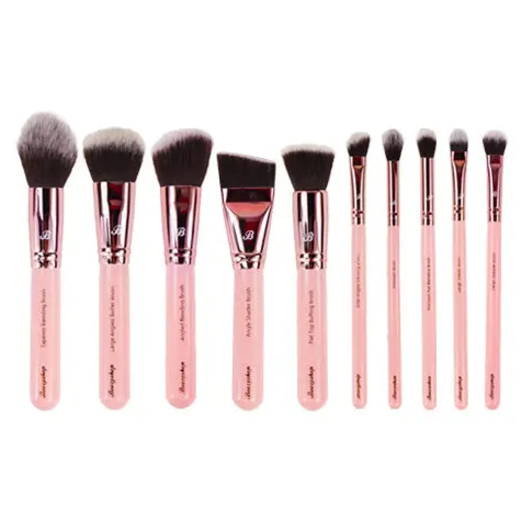 Pink & Rose Gold 10 pc. Sculpt & Contour Set