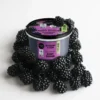 Polishing Body Scrub Blackberry