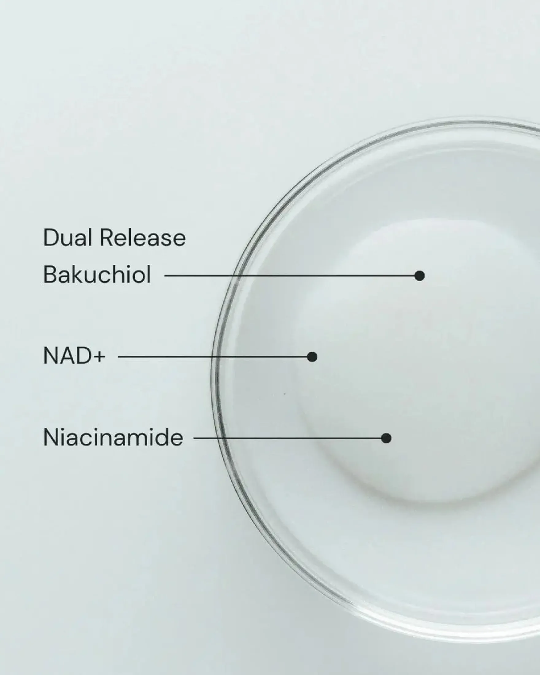 Pore & Line Refine Face Serum