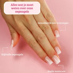 Press On French Nails Ombre Soft Pink