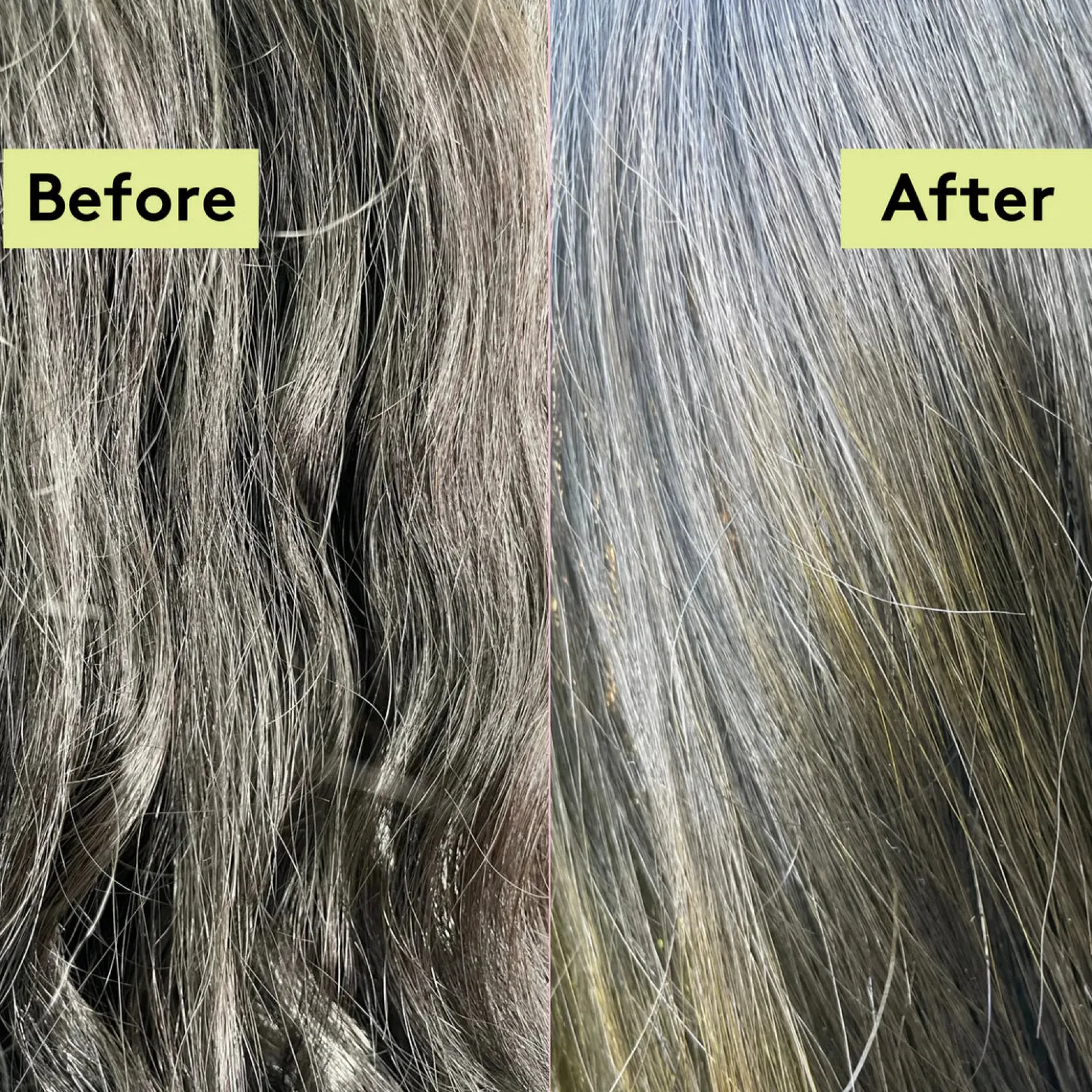 Rich Roots Repair & Shine Conditioner Amla & Rosemary